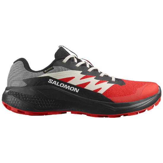 479752_SALOMON_alphaglide_gtx