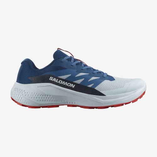 L47724300_salomon (1)